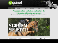 e-quinet.com Webseite Vorschau
