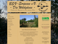 bsv-sorpesee.de Webseite Vorschau