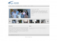 tsinghualogic.net Webseite Vorschau