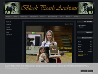 black-pearls-arabians.com Webseite Vorschau