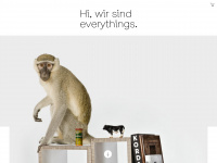 everythings.ch Webseite Vorschau