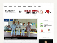 seinchin.hu Webseite Vorschau