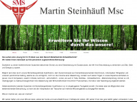 sv-sms.at Webseite Vorschau