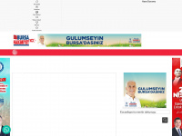 bursahakimiyet.com.tr Webseite Vorschau