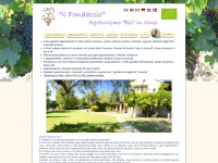 bioagriturismoilfondaccio.it Webseite Vorschau