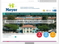 meyer.it Webseite Vorschau