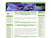 hibiskus-pflege.de Webseite Vorschau