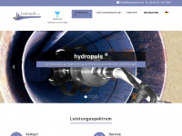 hydropuls.com Webseite Vorschau