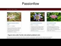 passionflow.de Webseite Vorschau