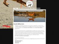 wildgingers.ch Webseite Vorschau