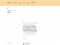 plaettli-sommer.ch Webseite Vorschau