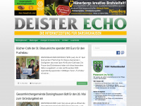deister-echo.de Webseite Vorschau