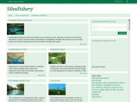 silvofishery.com Webseite Vorschau