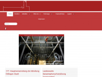 ff-ettlingen.de Webseite Vorschau