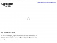lackdoktor-muenster.de Webseite Vorschau