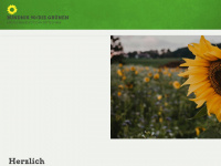 gruene-potsdam-mittelmark.de Webseite Vorschau