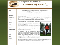 essence-of-gold.de Webseite Vorschau