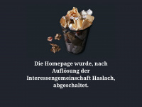 ig-haslach.de Webseite Vorschau