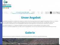 triebfeder.co.at Webseite Vorschau