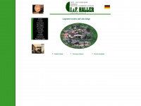 haller-holz.it Webseite Vorschau