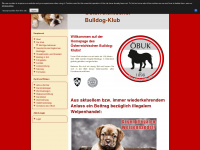 bulldog.or.at Webseite Vorschau