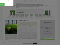 trawaroll.pl Webseite Vorschau