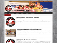 mainburg-handball.de Webseite Vorschau