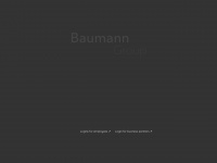 baumann-network.de Webseite Vorschau