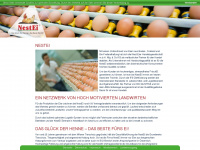 nestei.com Webseite Vorschau