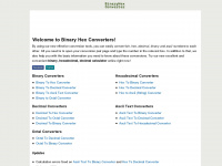 binaryhexconverter.com Webseite Vorschau