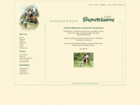 showtraeume.de Webseite Vorschau