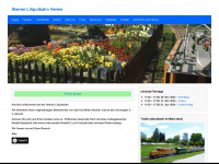 steinerliliputbahn.ch Webseite Vorschau