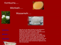kombucha-milchkefir-wasserkefir.de