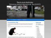 sveinungsen.com Webseite Vorschau
