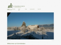 schmaerleiben.ch Webseite Vorschau