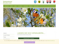niederamtsued.ch Webseite Vorschau