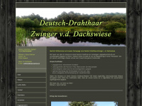 drahthaar-dachswiese.com Webseite Vorschau
