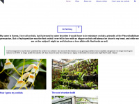 orchidkarma.com Webseite Vorschau