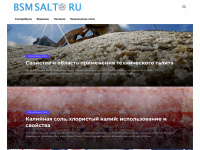 bsmsalt.ru Webseite Vorschau