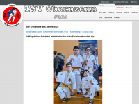 judo-obernzenn.de Webseite Vorschau