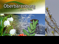 Oberbärenburg.de