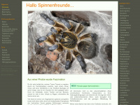 spiders.hxnetz.de Webseite Vorschau