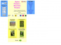 alpineflowers.ch Webseite Vorschau