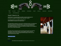 traumpferde-falkenhof.jimdo.com Webseite Vorschau