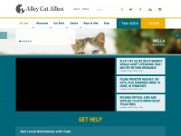 alleycat.org Webseite Vorschau