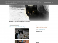 tantos-gatos.blogspot.com Webseite Vorschau