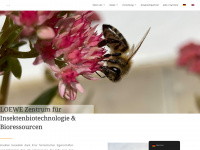 insekten-biotechnologie.de Webseite Vorschau