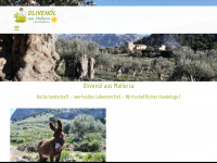 olivenoelausmallorca.com Thumbnail