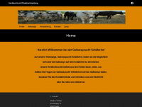 gallowayzucht-schaeferhof.de Webseite Vorschau