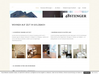 48stenger.com Webseite Vorschau